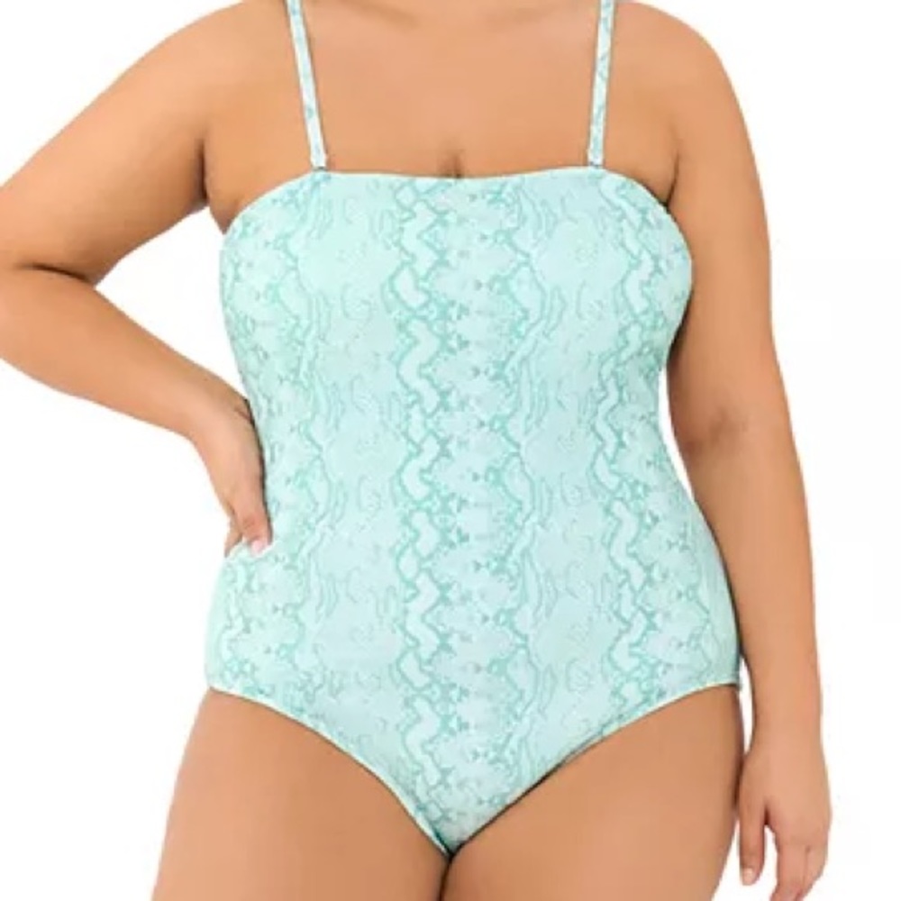 Ninety-nine Degrees one piece swimsuit